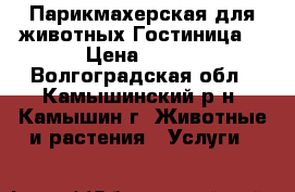 Парикмахерская для животных.Гостиница. › Цена ­ 500 - Волгоградская обл., Камышинский р-н, Камышин г. Животные и растения » Услуги   